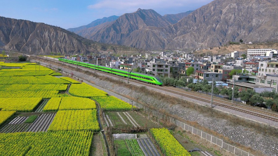 隴南市武都區萬畝油菜花競相綻放，美不勝收。隴南市融媒體中心供圖