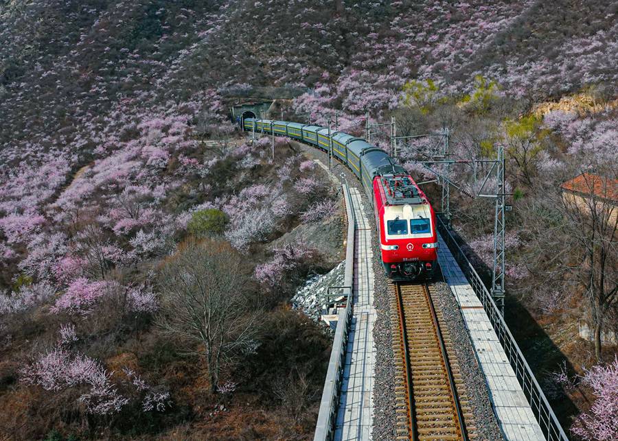 到甘肅崇信，看春日里的花海列車