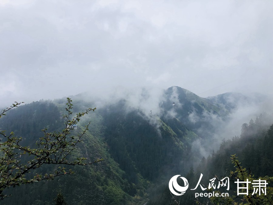 雨后興隆山云煙氤氳宛如畫卷【2】